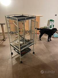 Voliera x pappagalli