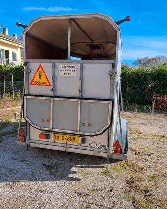 Trailer 2 posti 16/20