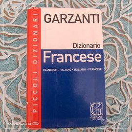 libro vocabolario di francese