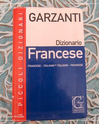 libro vocabolario di francese