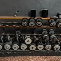 Kit manubri Tecnogym