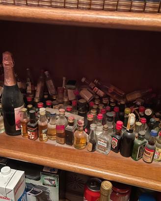 Collezione fornita bottiglie mignon