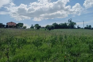 Terreno Agricolo Osimo (AN)