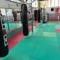 Tatami da sport da combattimento, Ring da Pugilato