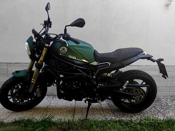 Benelli leoncino 800