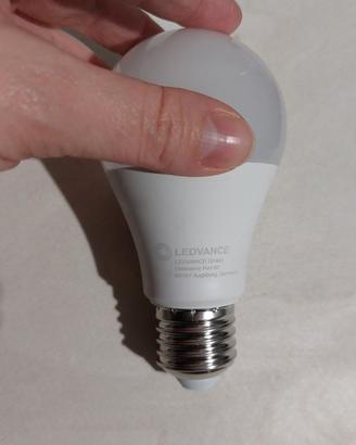 4 Lampadine SMART Alexa e Google