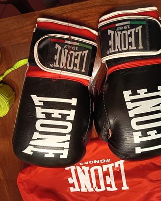guantoni da boxe leone