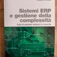 sistemi erp e gestione della complessità