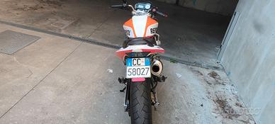 Hornet 600 repsol