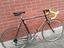 Immagine 4