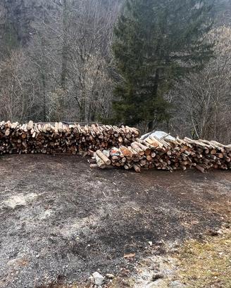 Legna da ardere