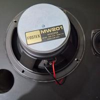 coppia woofer fostex 