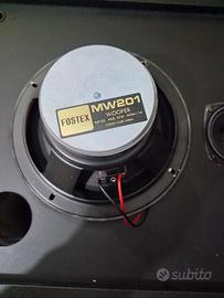coppia woofer fostex 