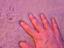 Immagine 4