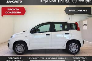 FIAT Panda 1.0 FireFly S&S Hybrid Icon 65cv ...