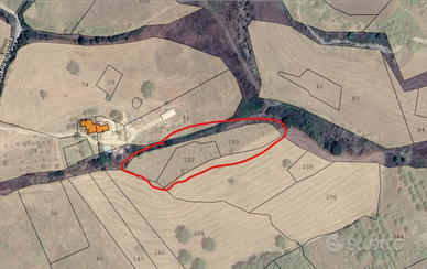 Terreno Uliveto pozzo