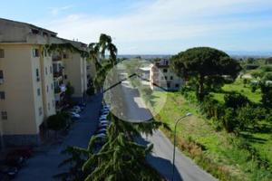 MANSARDA A POLLENA TROCCHIA