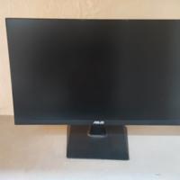 monitor asus 24 pollici