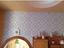 Immagine 16