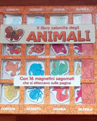 Libri con Calamite 