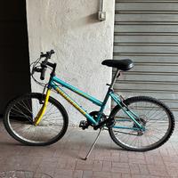 Bicicletta Mountain Bike modello RUNNERBIKE