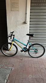 Bicicletta Mountain Bike modello RUNNERBIKE