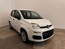 fiat-panda-hybrid
