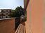 Immagine 19