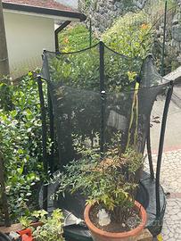 Trampolino bambini