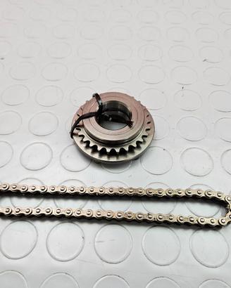 CATENA AZIONAMENTO TRIUMPH SPEED TRIPLE 1050 2005
