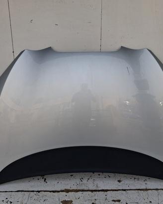 1P0823031A COFANO ANTERIORE SEAT LEON II (1P1) 1.9
