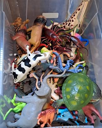 Set di giochi animali 