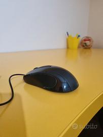 mouse hama