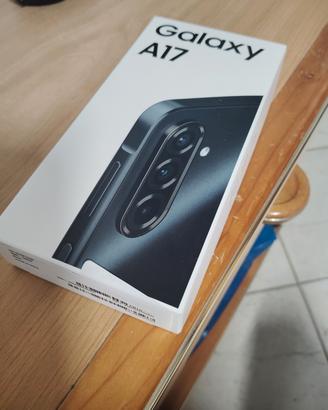 Samsung Galaxy A17 