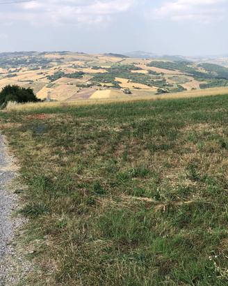 Terreno Edificabile - Fragneto Monforte