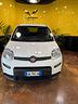 fiat-panda-1-0-s-s-hybrid-van-4-posti