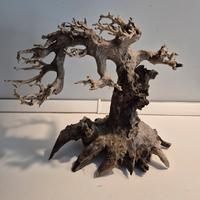 ADA - albero bonsai in vero legno per acquario