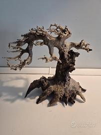 ADA - albero bonsai in vero legno per acquario