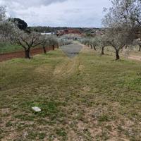 Terreno - Caltagirone