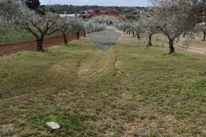 Terreno - Caltagirone