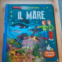 Libro: Il mare (Giunti Junior)
