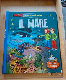 Libro: Il mare (Giunti Junior)
