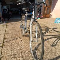Bicicletta Brera Trendy 29