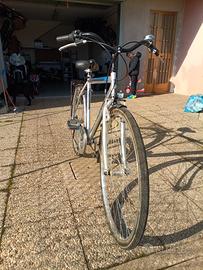 Bicicletta Brera Trendy 29