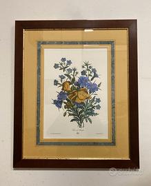 Stampa francese “Fiori Arcadia” con cornice