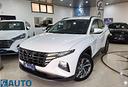 hyundai-tucson-1-6-crdi-48v-xline-2023