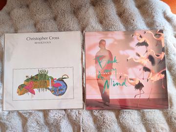 2 LP Christopher cross (pari al nuovo) Nm