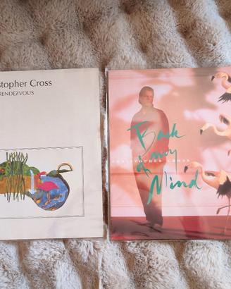 2 LP Christopher cross (pari al nuovo) Nm