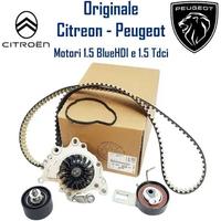 Kit cinghia distribuzione + pompa acqua PSA