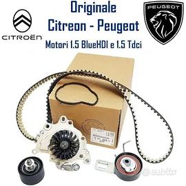 Kit cinghia distribuzione + pompa acqua PSA